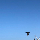 fahrbibliothek.de bei Bluesky (TEST)